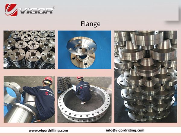 CHINA VIGOR FLANGE